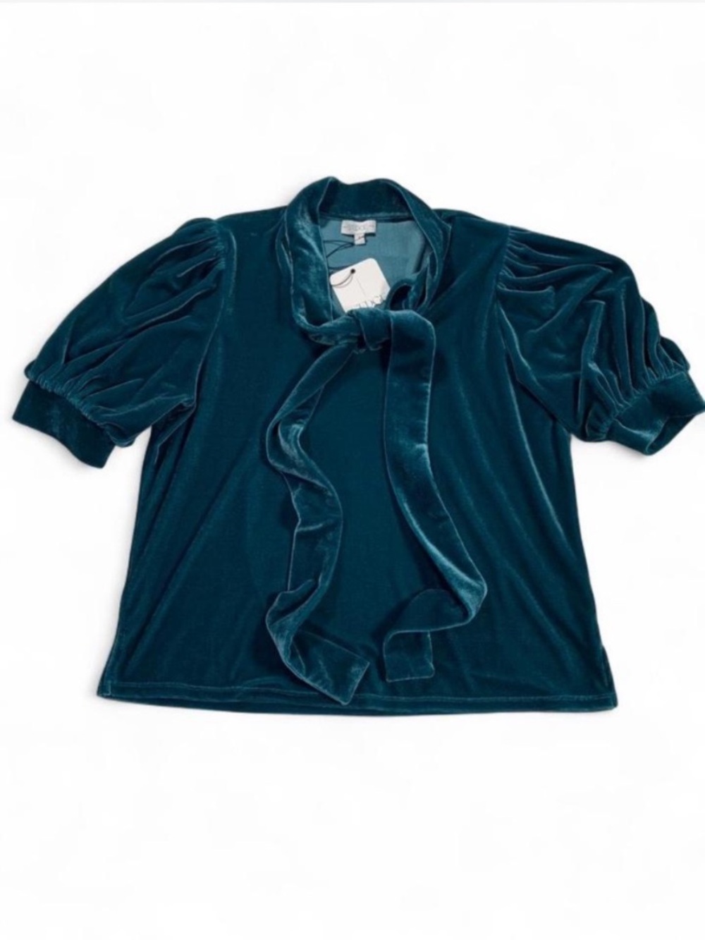 S’EDGE Velvet Tie-Neck Puff Sleeve Top in Teal NWT Dark Academia Size Small